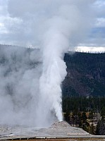 Yellowstone Old faithfull et ses environs (18).JPG